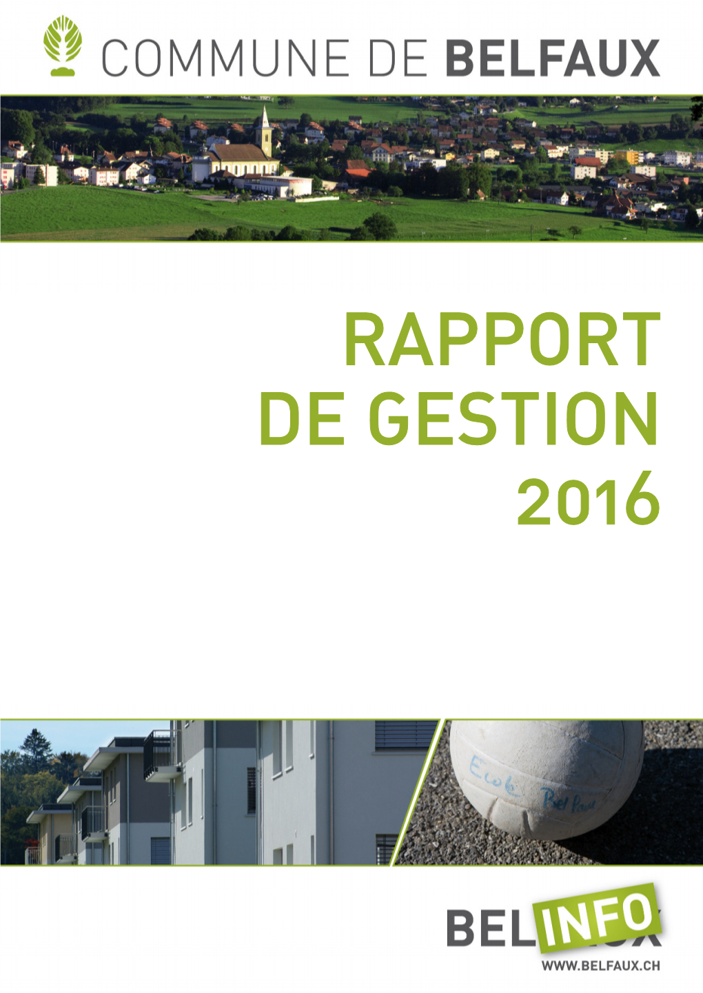 Rapport De Gestion 2016