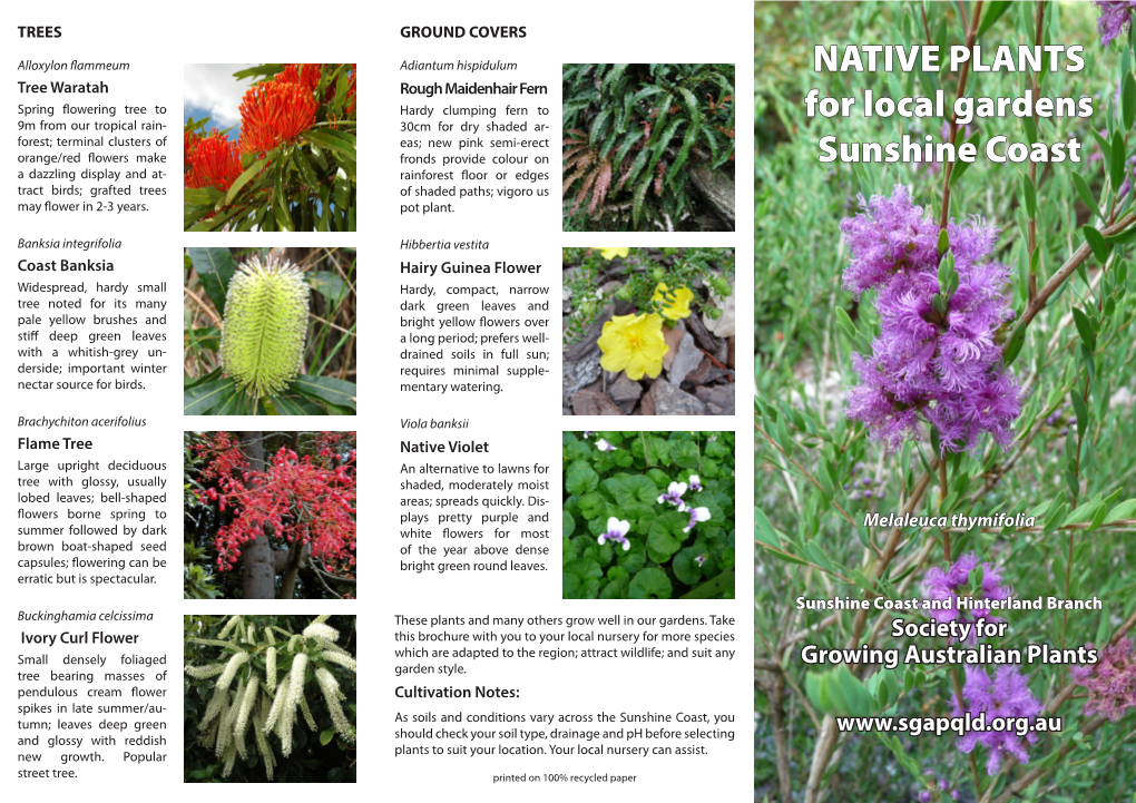 NATIVE PLANTS for Local Gardens Sunshine Coast