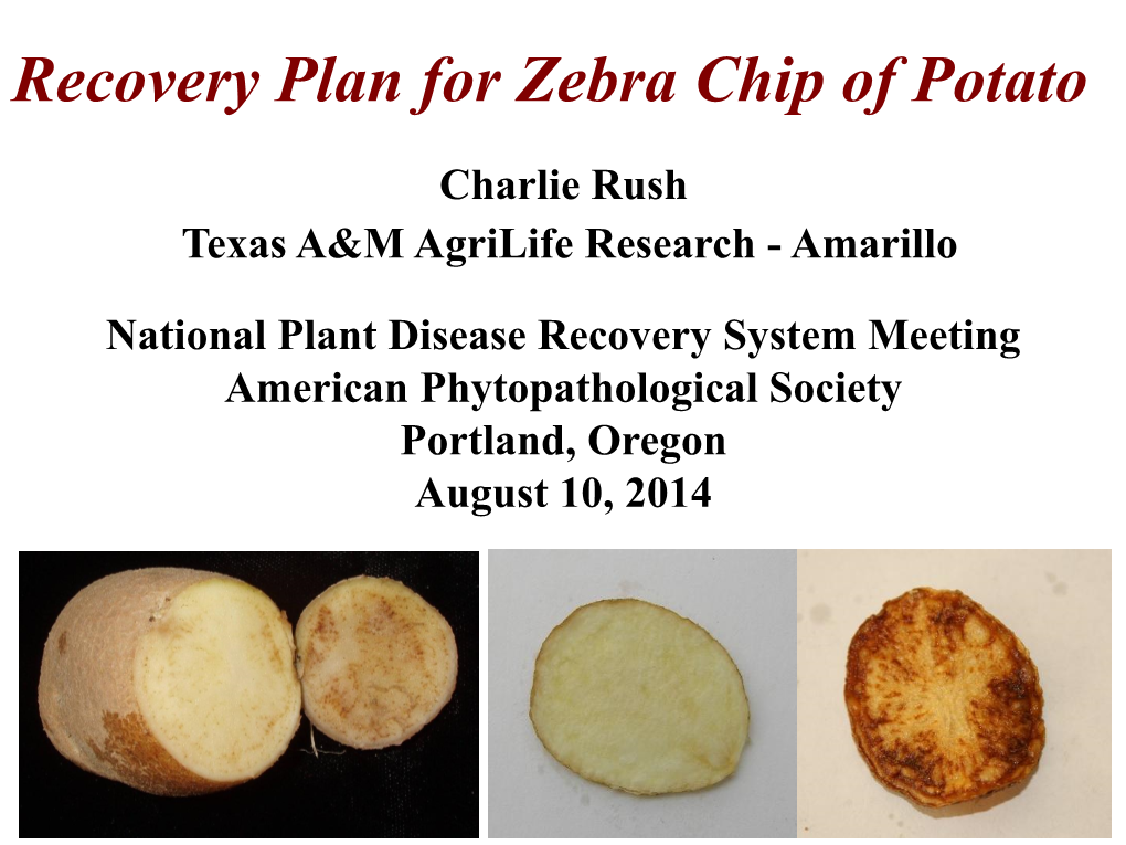 Recovery Plan for Zebra Chip of Potato