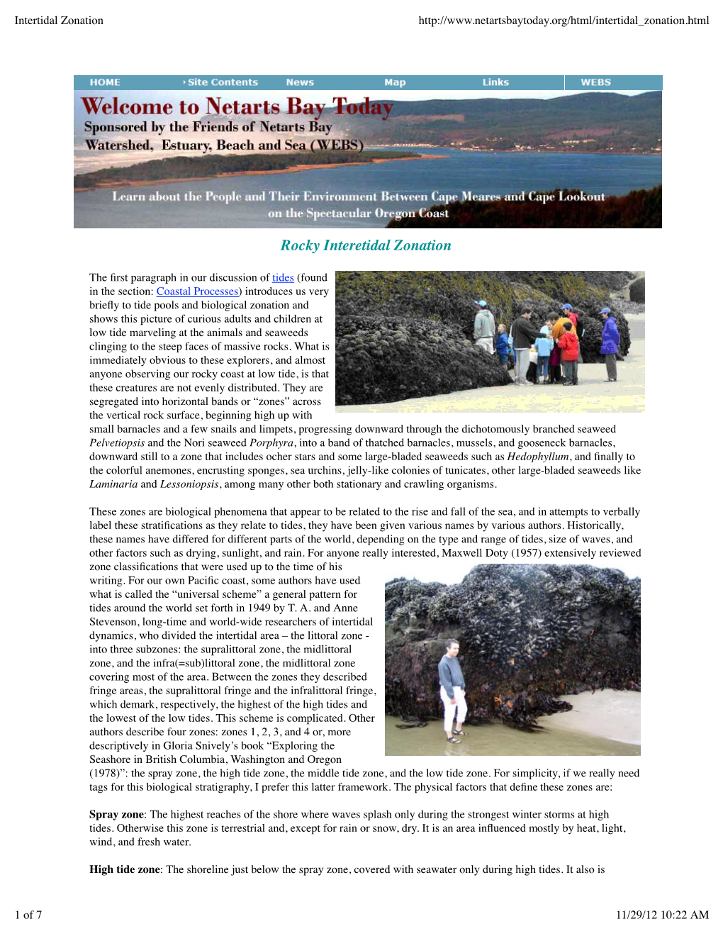 Rocky Intertidal Zonation Patterns and Ecological Principles