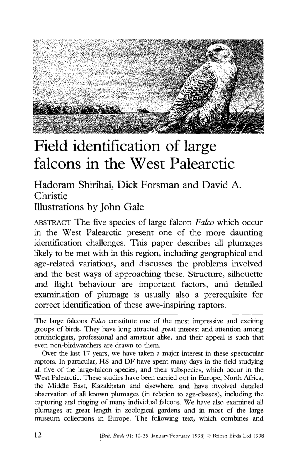 Field Identification of Large Falcons in the West Palearctic Hadoram Shirihai, Dick Forsman and David A