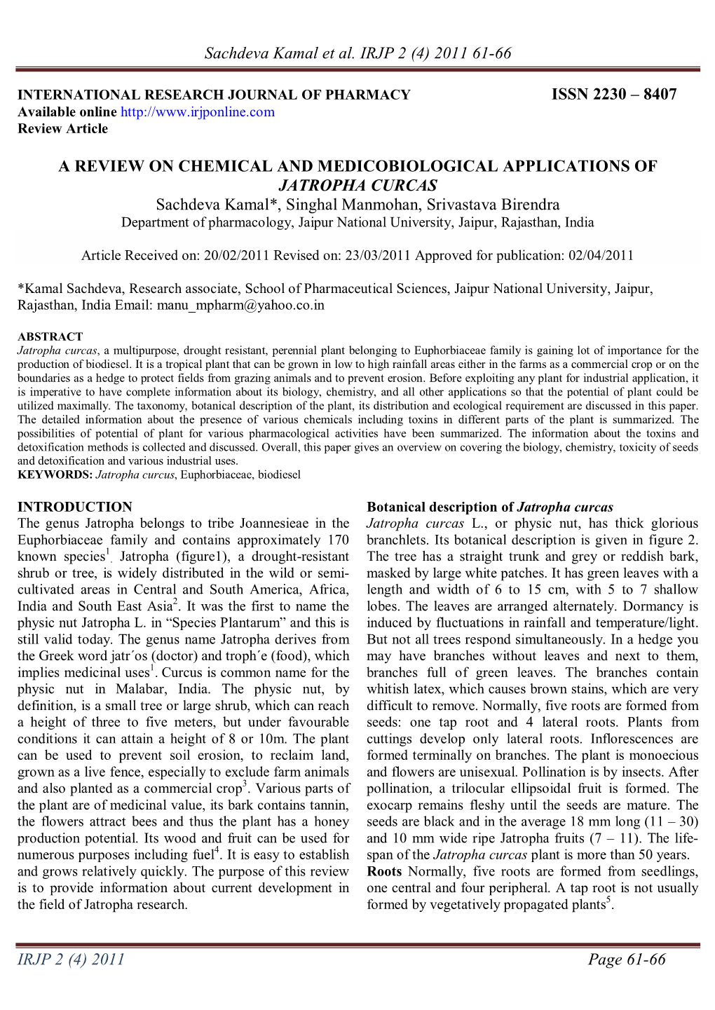 JATROPHA CURCAS Sachdeva Kamal*, Singhal Manmohan, Srivastava Birendra Department of Pharmacology, Jaipur National University, Jaipur, Rajasthan, India