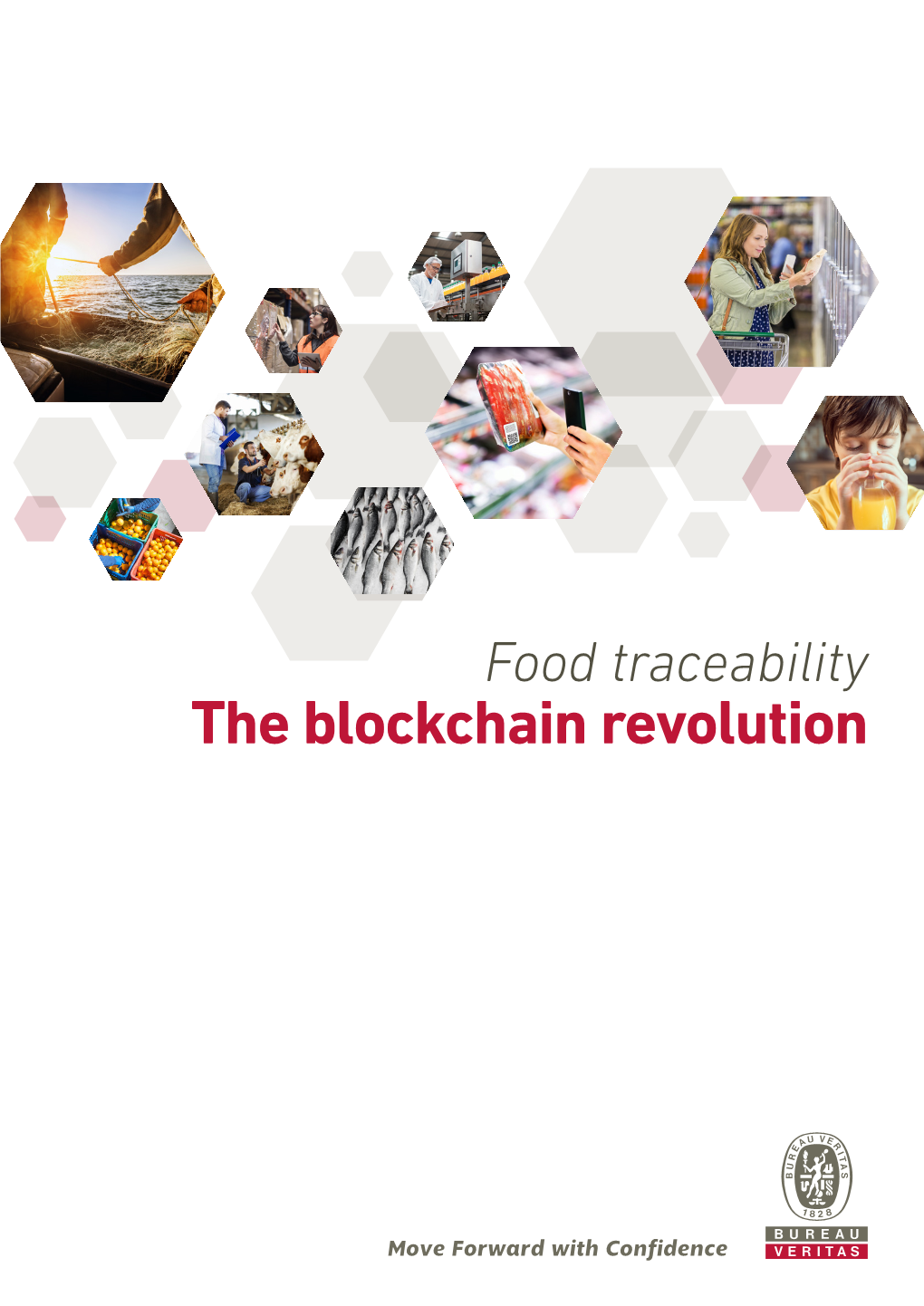 The Blockchain Revolution Food Traceability