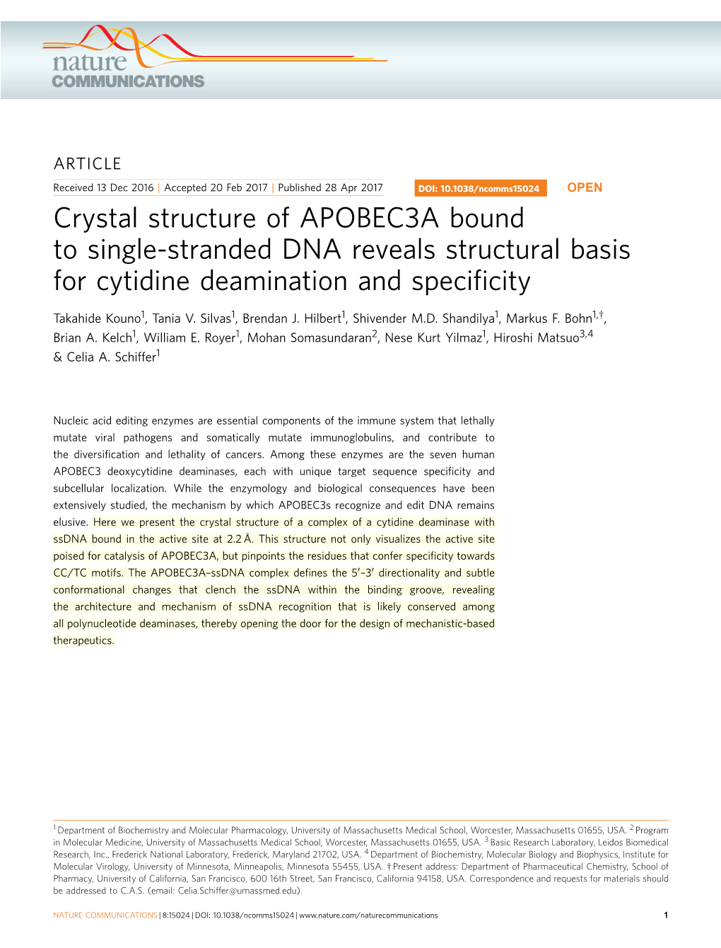 Crystal Structure of APOBEC3A Bound to Single-Stranded DNA Reveals Structural Basis for Cytidine Deamination and Speciﬁcity