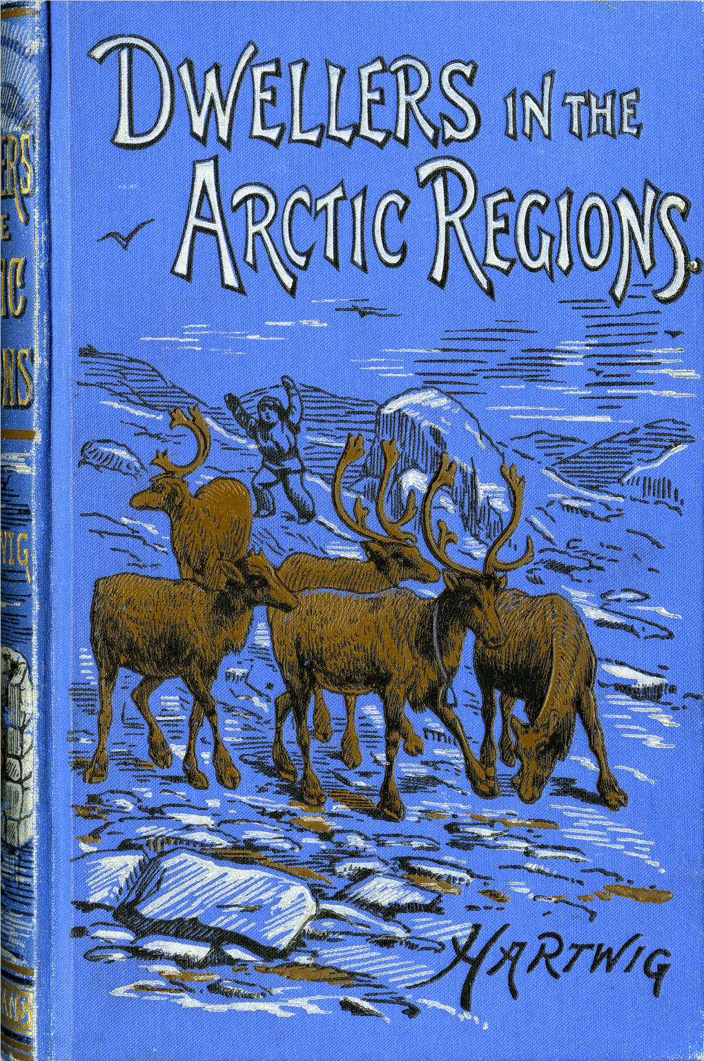 DWELLERS in the ARCTIC REGIONS. WALRUS Hllntino, DWELJJERS in the ARCTIC REGIONS