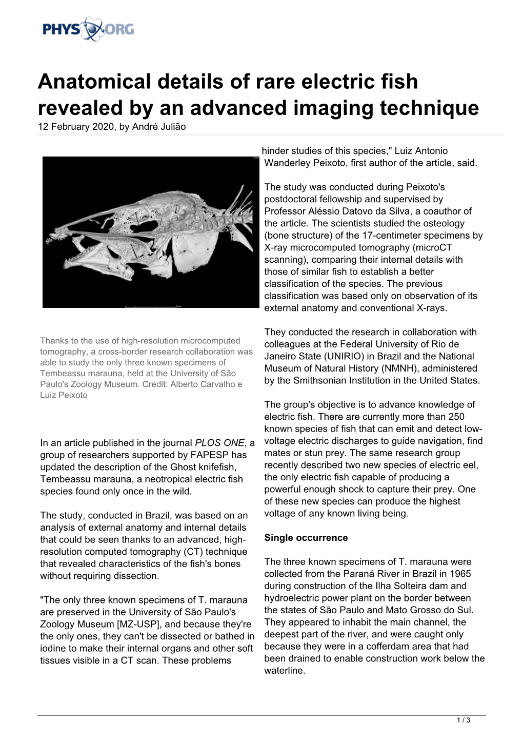 Anatomical Details of Rare Electric Fish Revealed by an Advanced Imaging Technique 12 February 2020, by André Julião