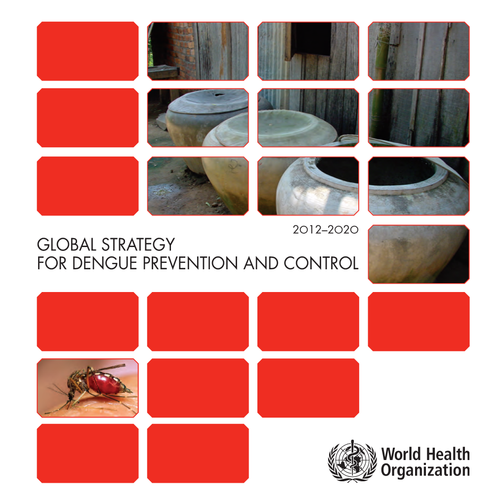 Global Strategy for Dengue Prevention and Control 2012-2020