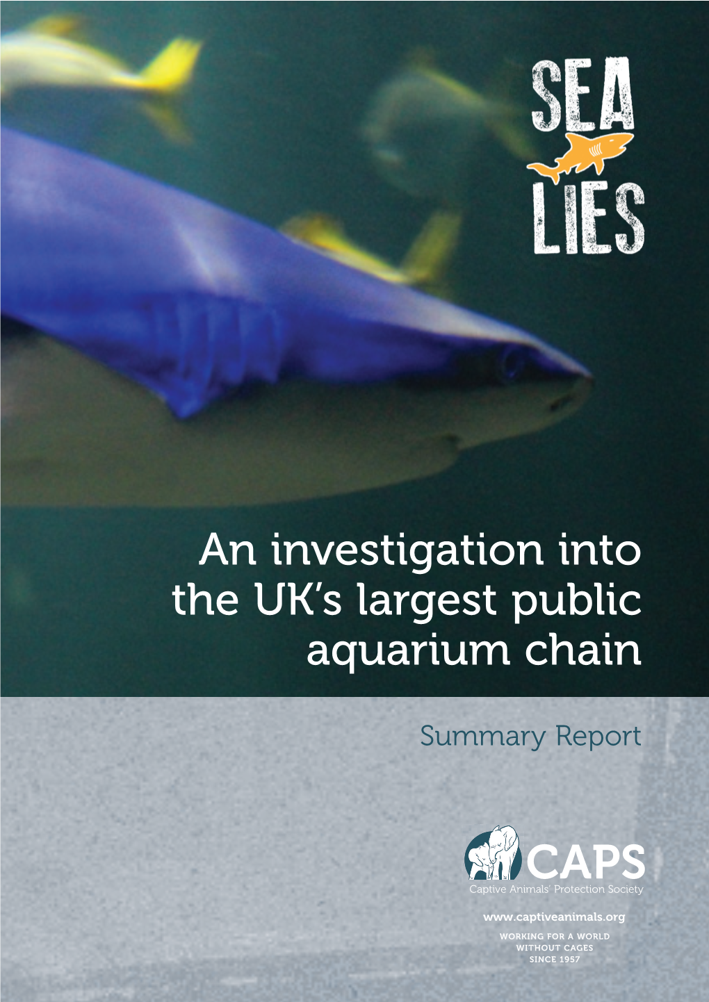 An Investigation Into the UK's Largest Public Aquarium Chain