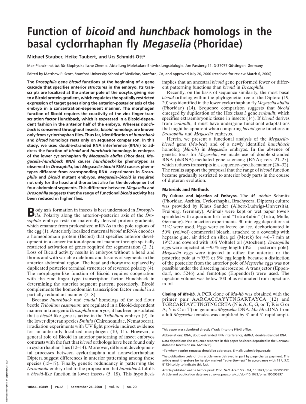 Function of Bicoid and Hunchback Homologs in the Basal Cyclorrhaphan Fly Megaselia (Phoridae)