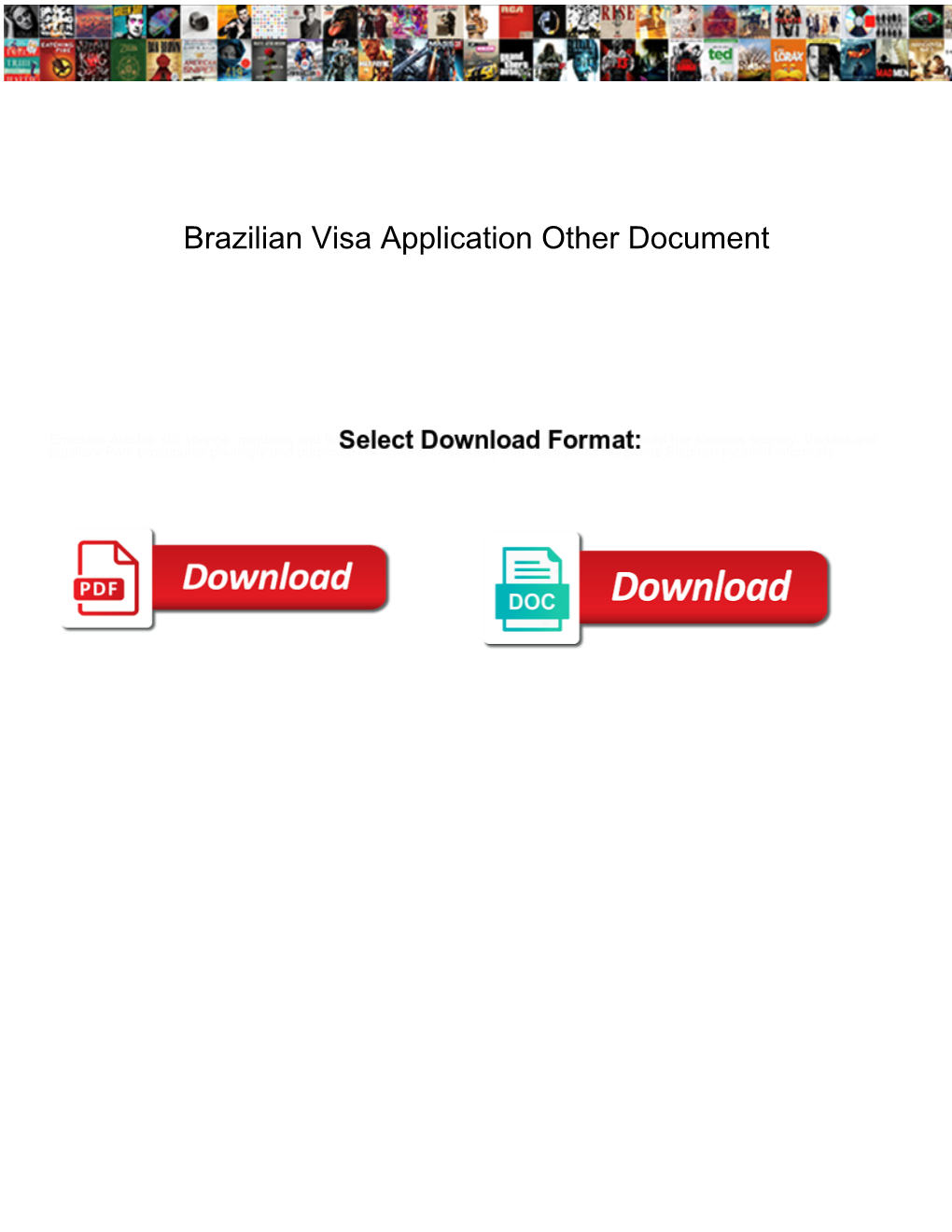 Brazilian Visa Application Other Document