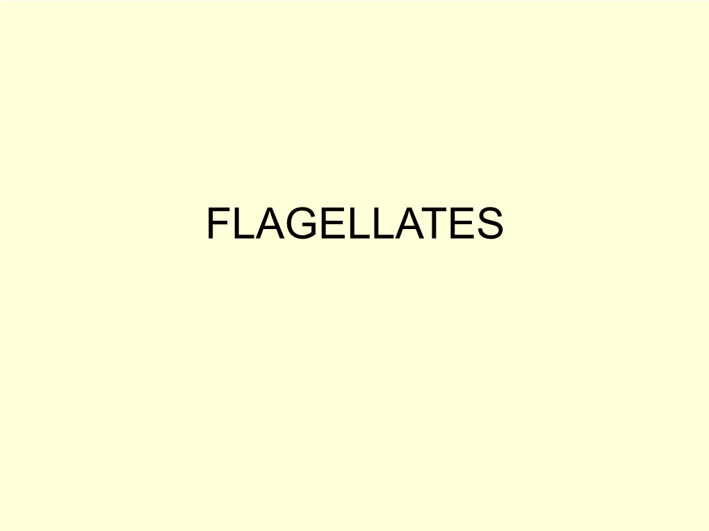 FLAGELLATES Protozoa of This Group Possess One Or More Whip Like Flagella As Their Organs of Locomotion Classification According to Their Habitat 1