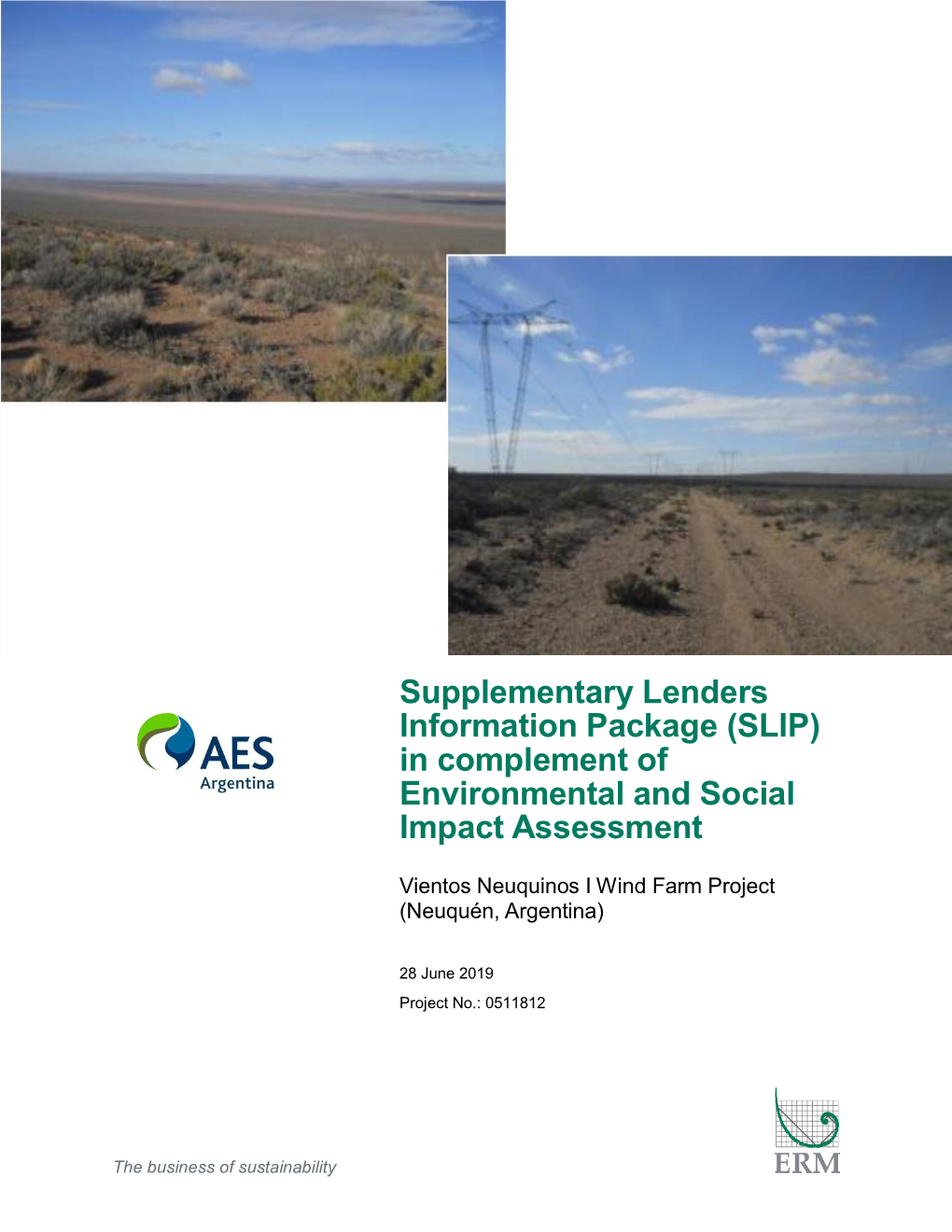 In Complement of Environmental and Social Impact Assessment Document Subtitle Vientos Neuquinos I Wind Farm Project (Neuquén, Argentina) Project No