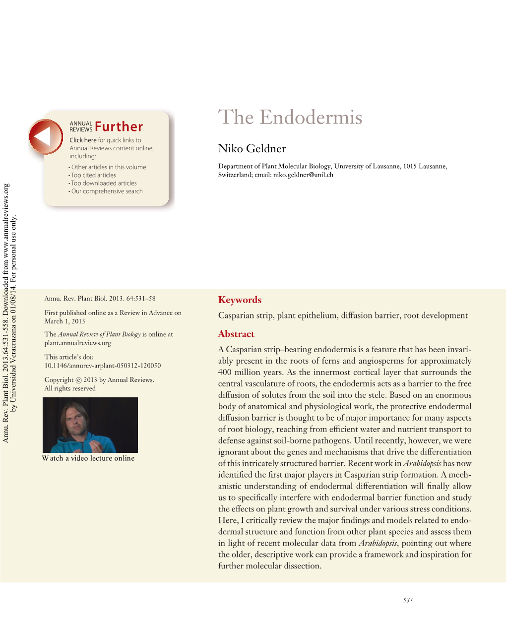 The Endodermis