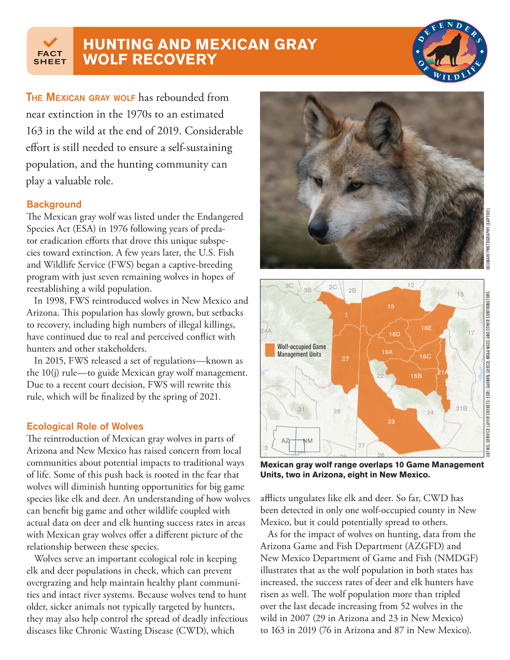 Hunting and Mexican Gray Wolf Recovery