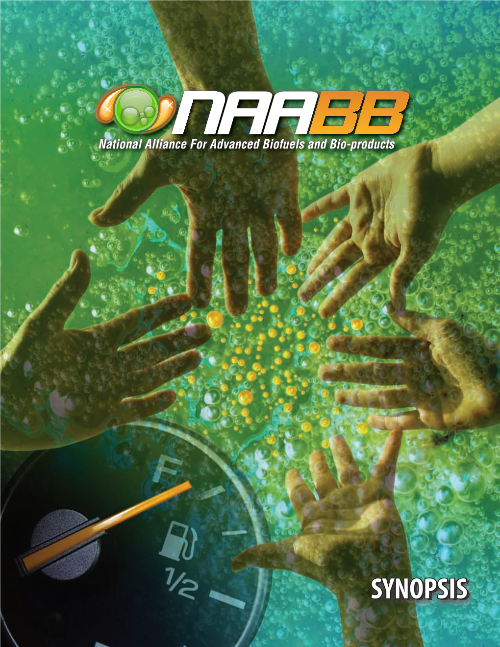 NAABB Research and Development Framework
