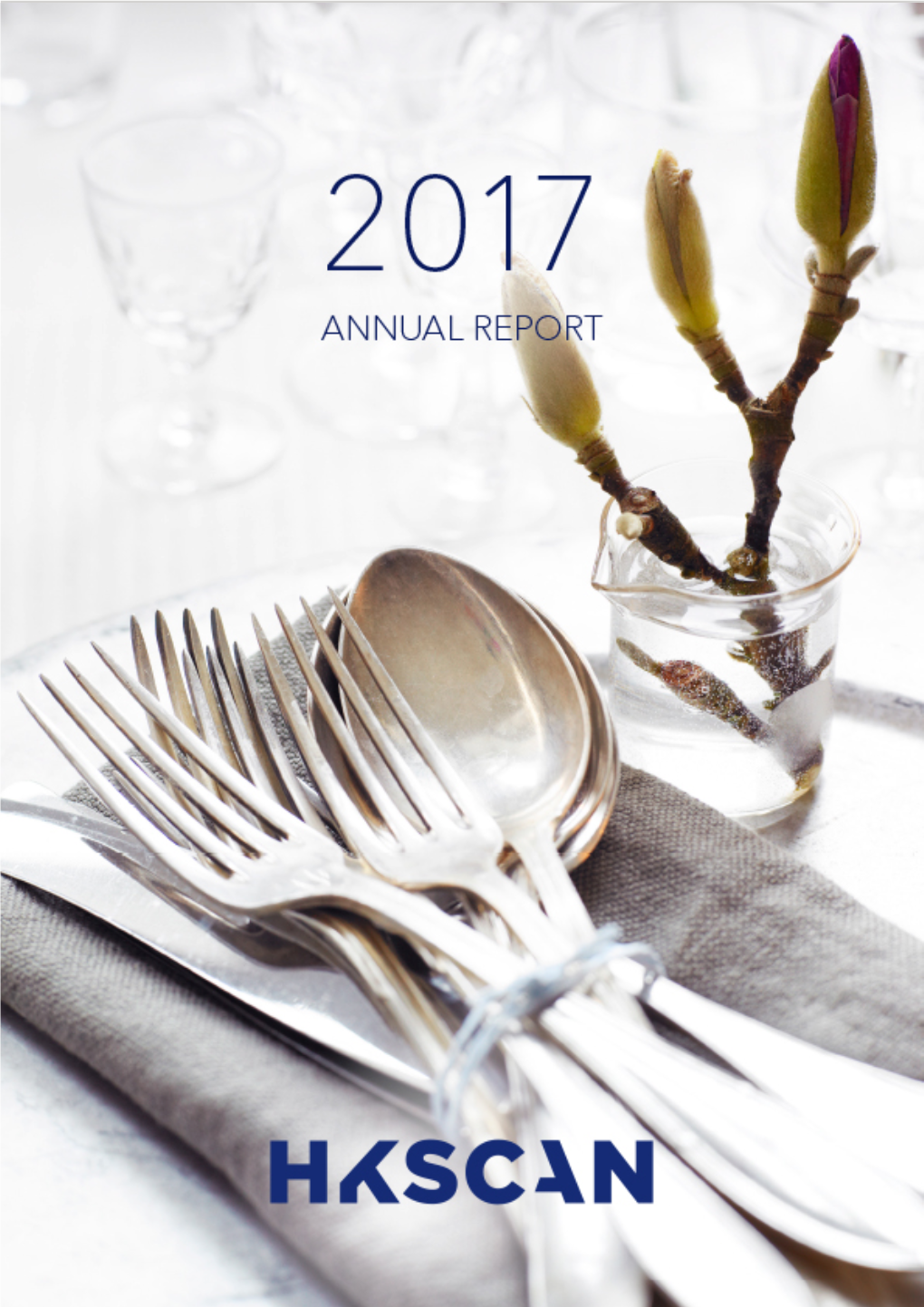 Business | Hkscan Annual Report 2017