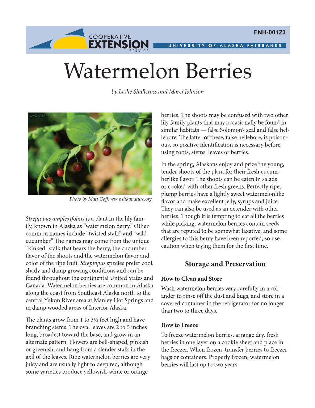 Watermelon Berries by Leslie Shallcross and Marci Johnson