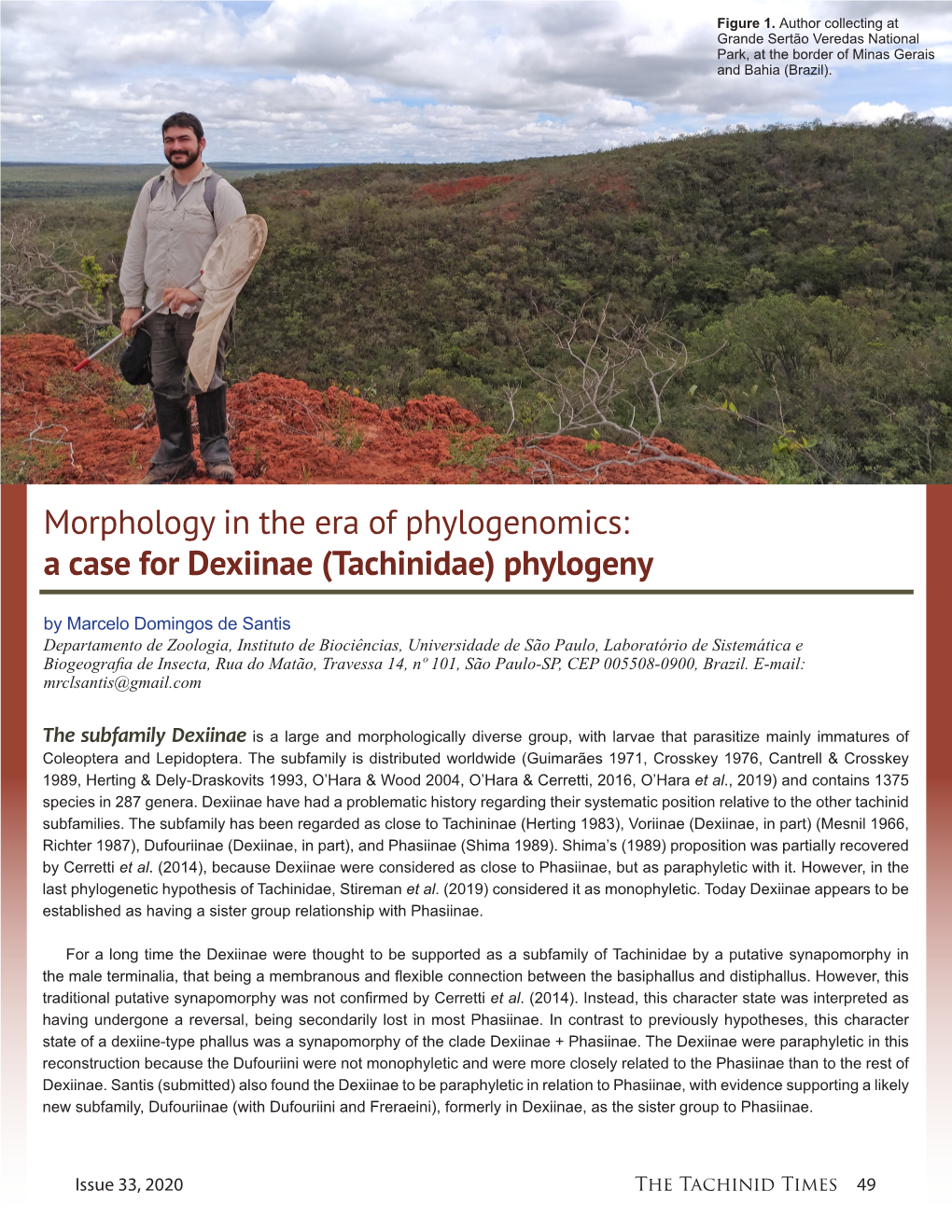 (Tachinidae) Phylogeny