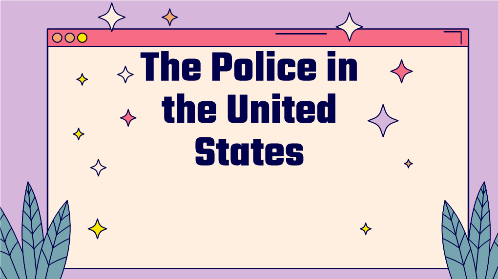 The Police in the United States