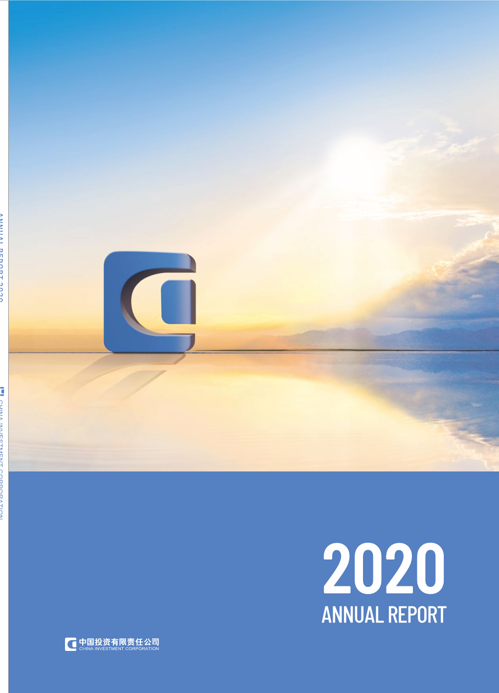 CIC Annual Report 2020