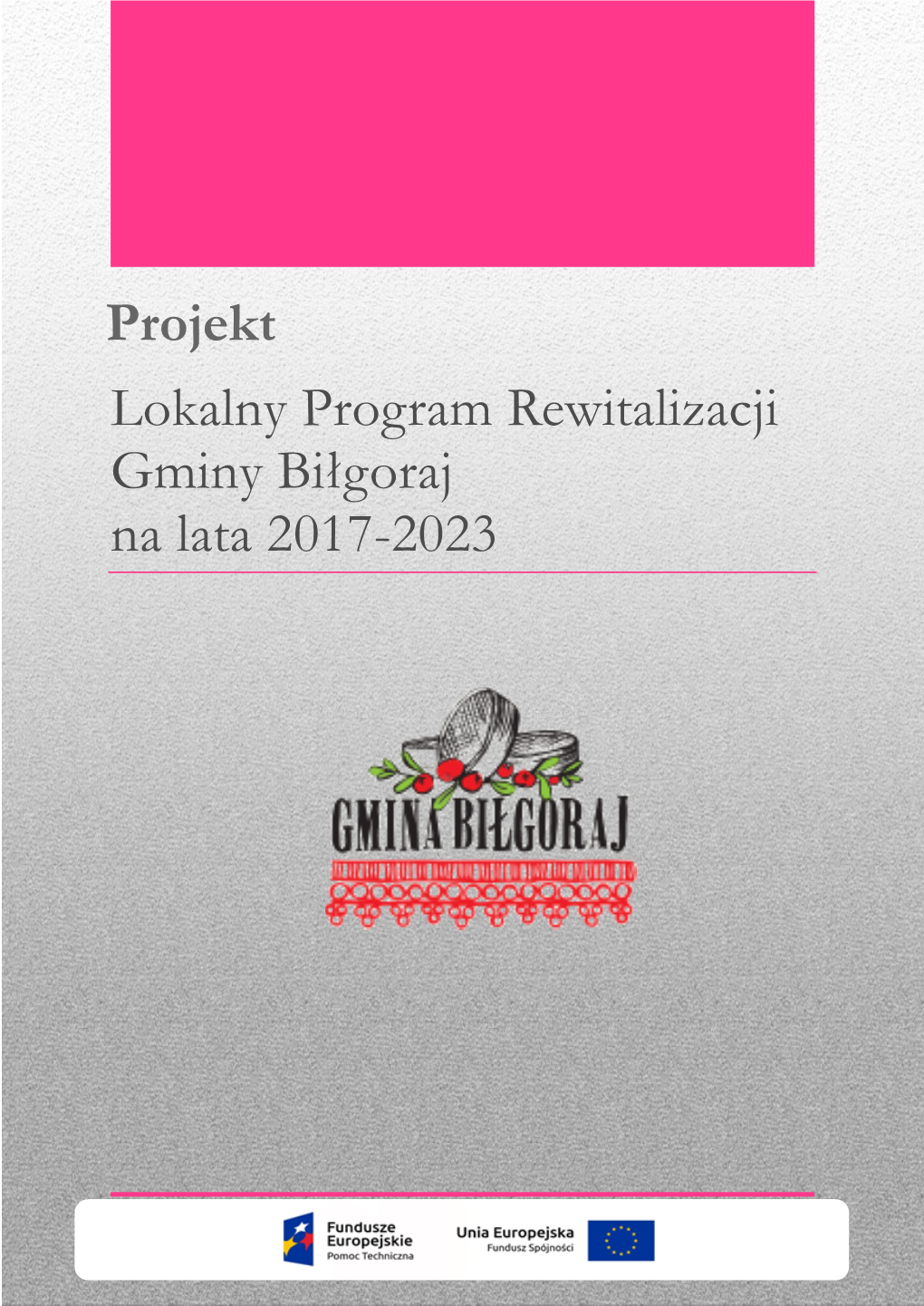 Lokalny Program Rewitalizacji Gminy Biłgoraj Na Lata 2017-2023