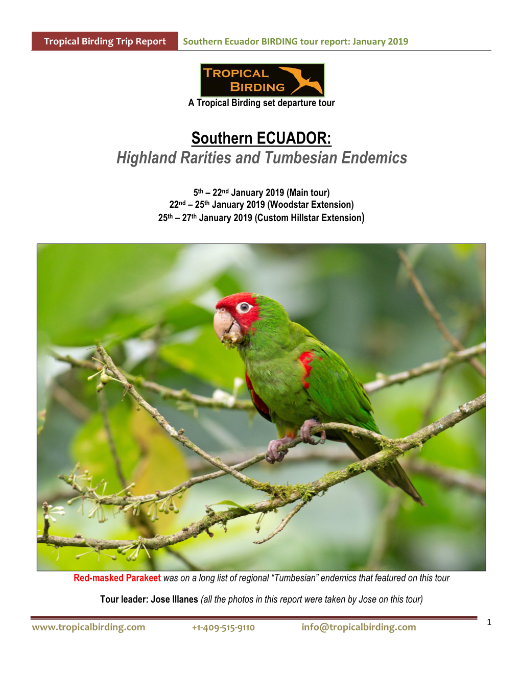 Southern Ecuador BIRDING Tour Report: January 2019