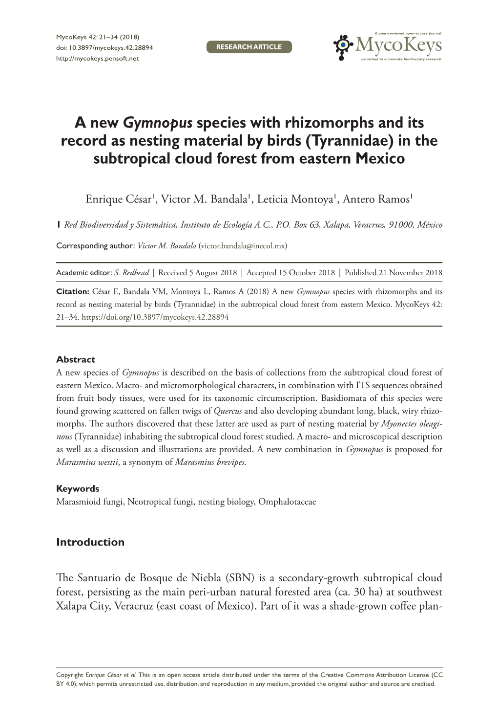 A New Gymnopus Species with Rhizomorphs and Its Record As Nesting Material by Birds (Tyrannidae) in the Subtropical Cloud Forest from Eastern Mexico