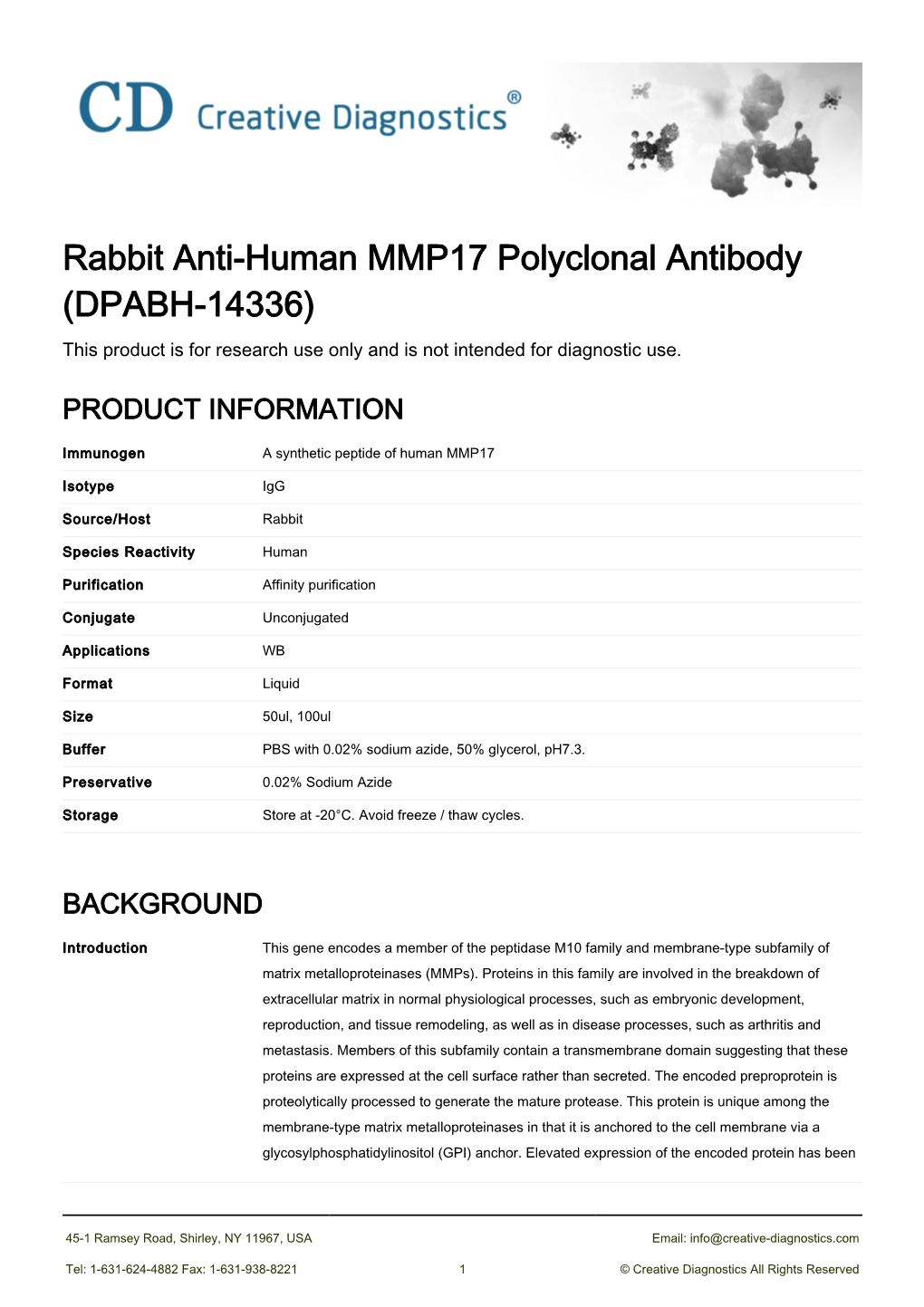 Rabbit Anti-Human MMP17 Polyclonal Antibody (DPABH-14336) This Product Is for Research Use Only and Is Not Intended for Diagnostic Use