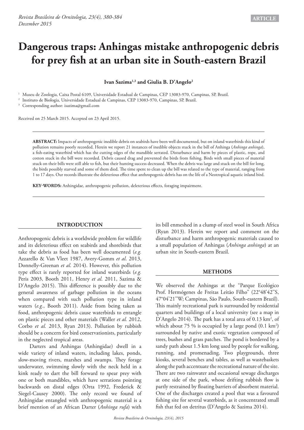 Anhingas Mistake Anthropogenic Debris for Prey Fish at an Urban Site in South-Eastern Brazil