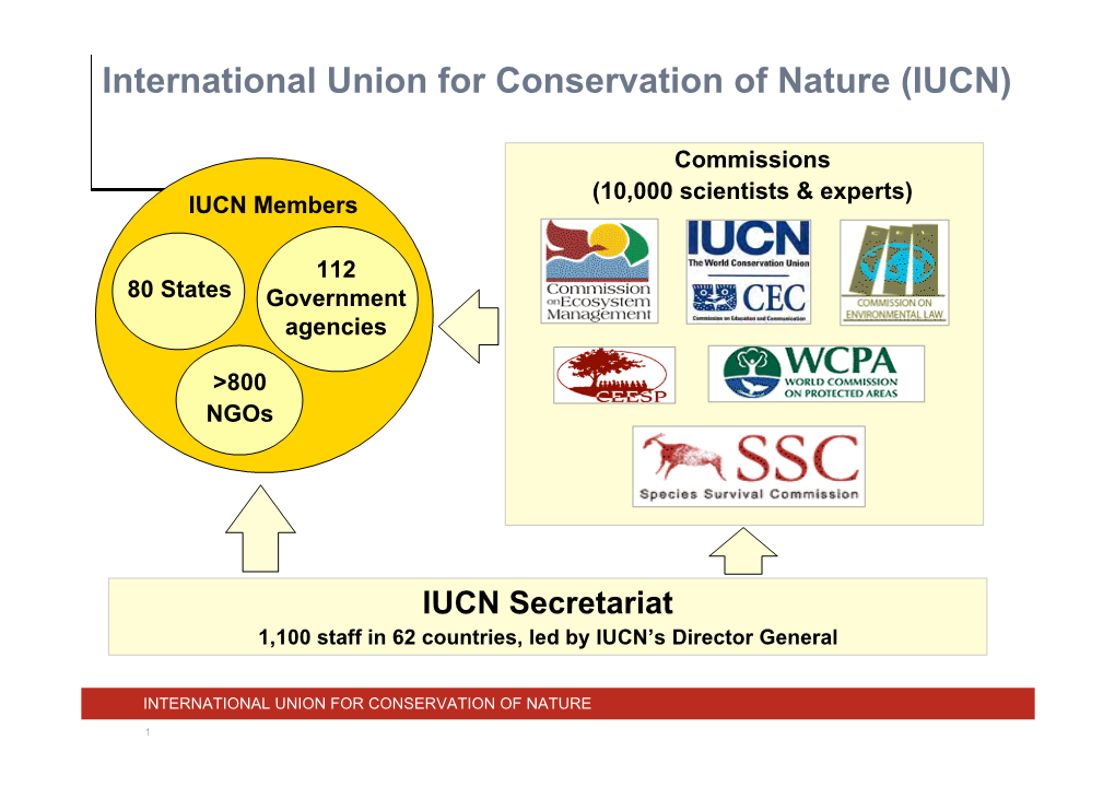 International Union for Conservation of Nature (IUCN)