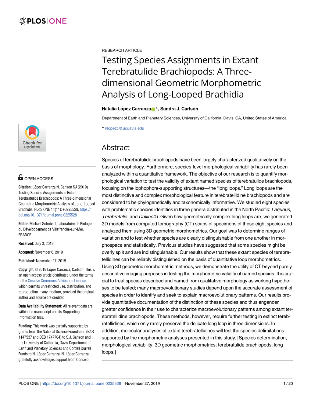 A Three-Dimensional Geometric Morphometric Analysis of Long-Looped Considered to Be Phylogenetically and Taxonomically Informative