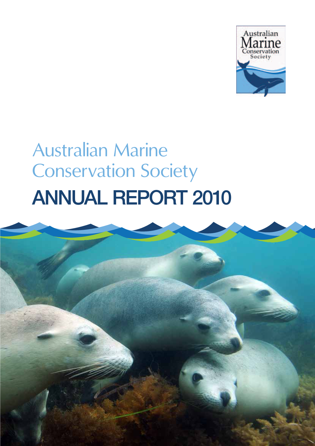 Annual Report 2010