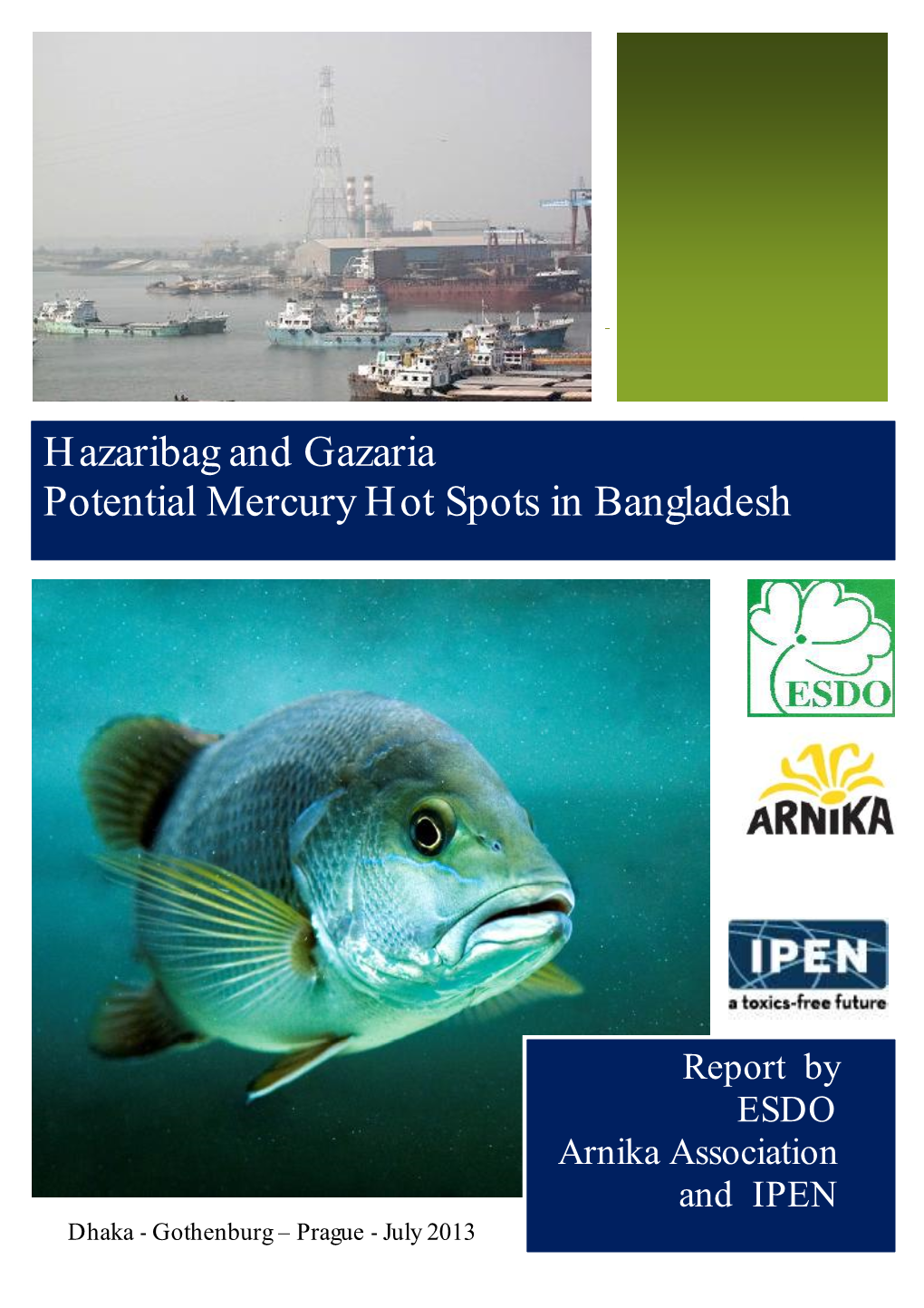 Hazaribag and Gazaria Potential Mercury Hot Spots in Bangladesh