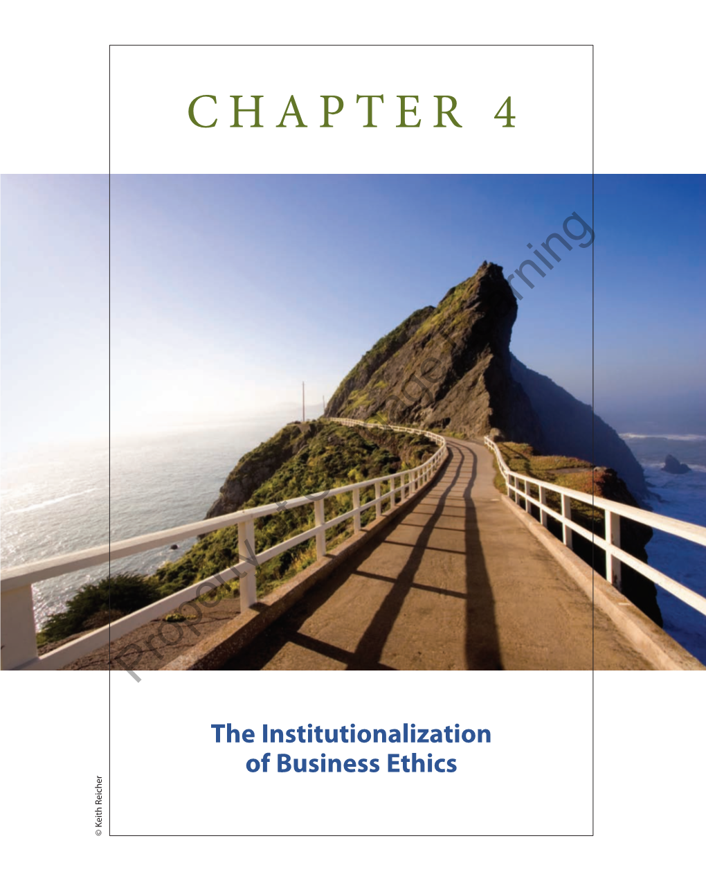 CHAPTER 4 Property of Cengage Learning