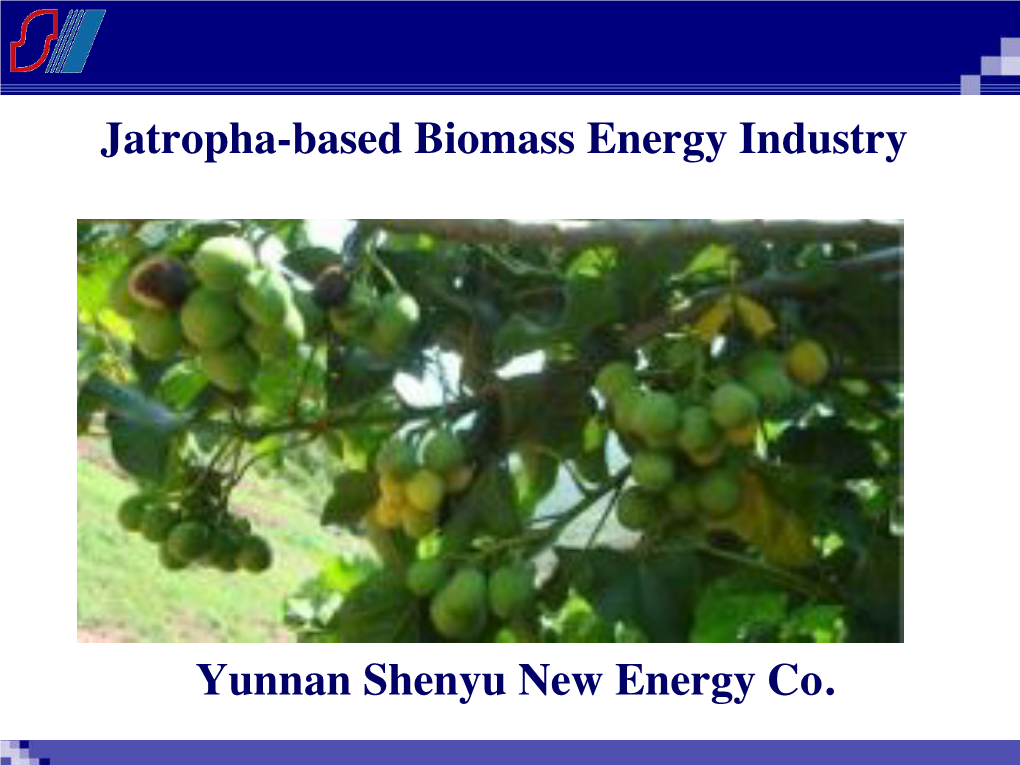 Yunnan Shenyu​-Biomass Energy.Pdf