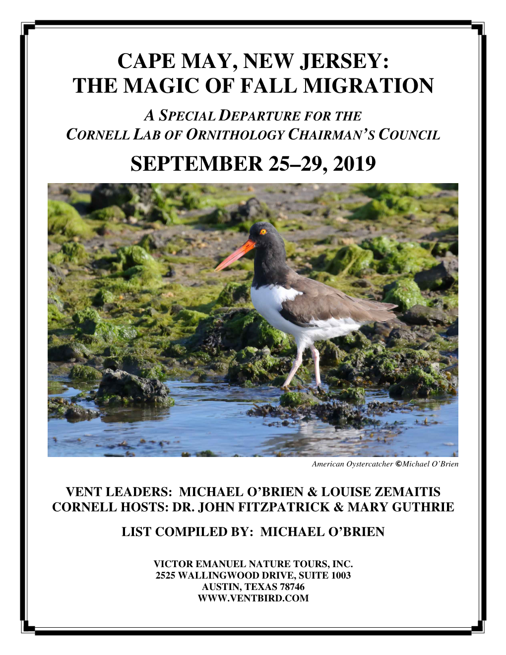Cape May, New Jersey: the Magic of Fall Migration
