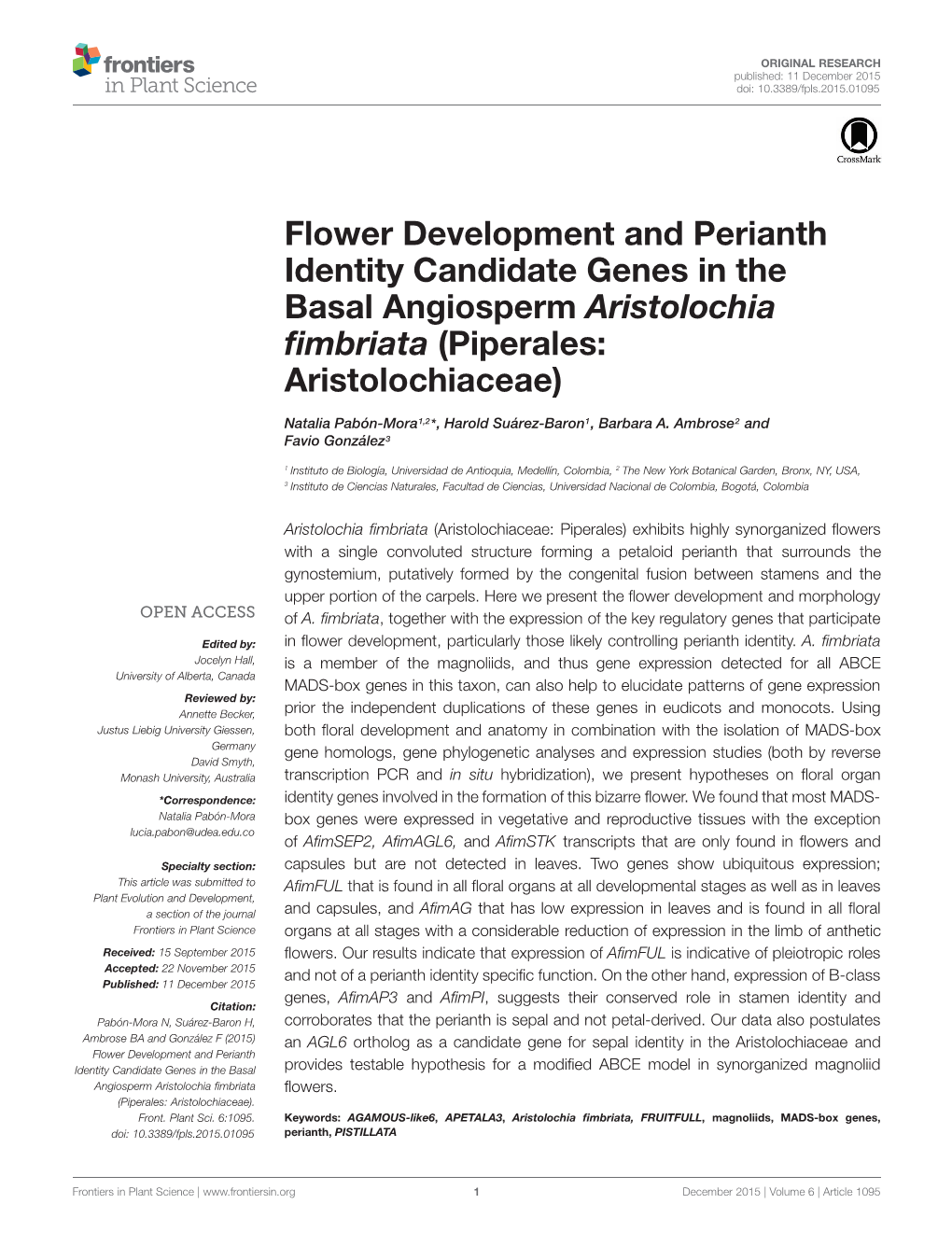 Flower Development and Perianth Identity Candidate Genes in the Basal Angiosperm Aristolochia ﬁmbriata (Piperales: Aristolochiaceae)