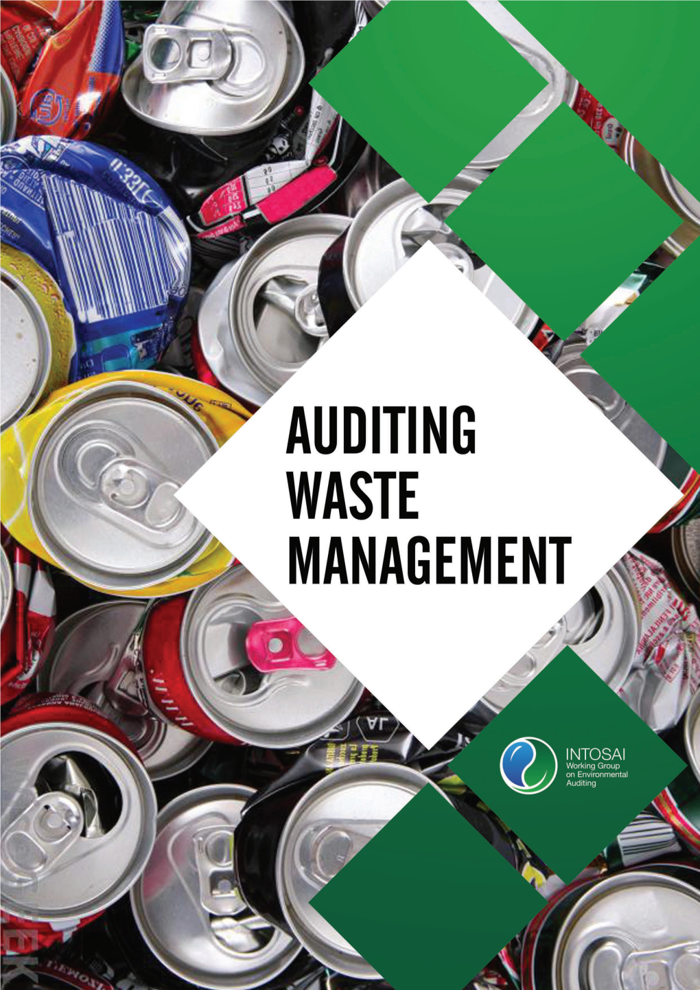 Auditing Waste Management (2004)