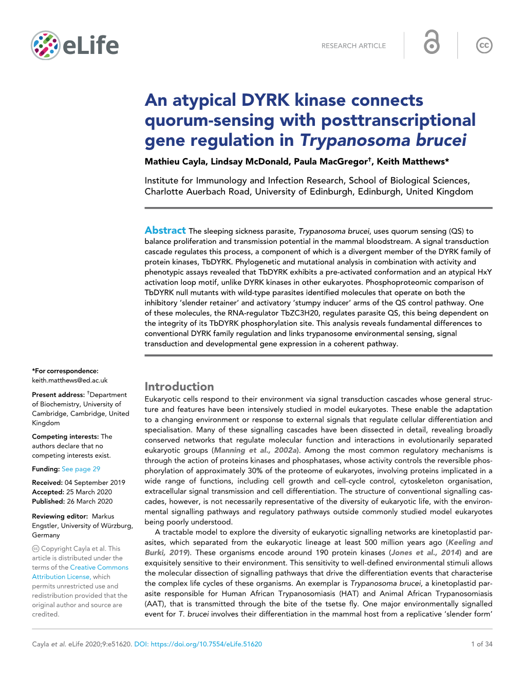 An Atypical DYRK Kinase Connects Quorum-Sensing With