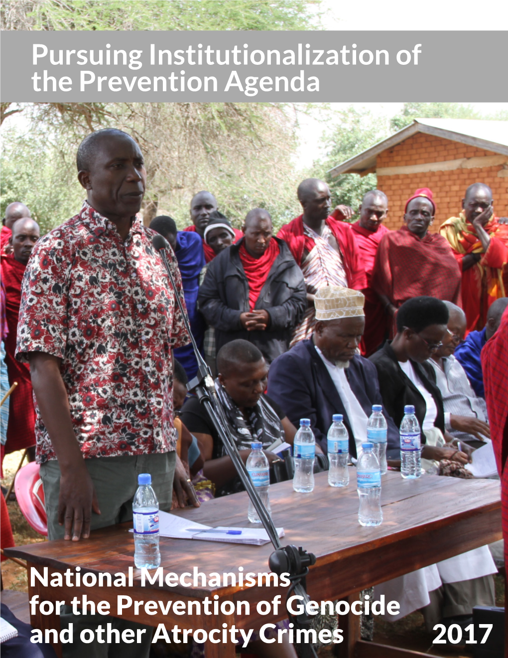 National Mechanisms for the Prevention Of