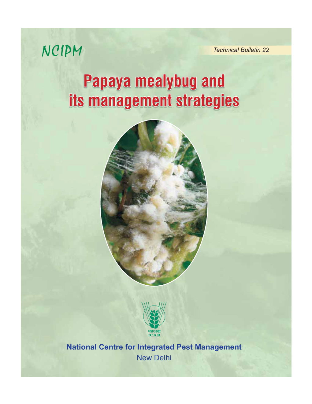 Papaya Mealybug and Its Management Strategies