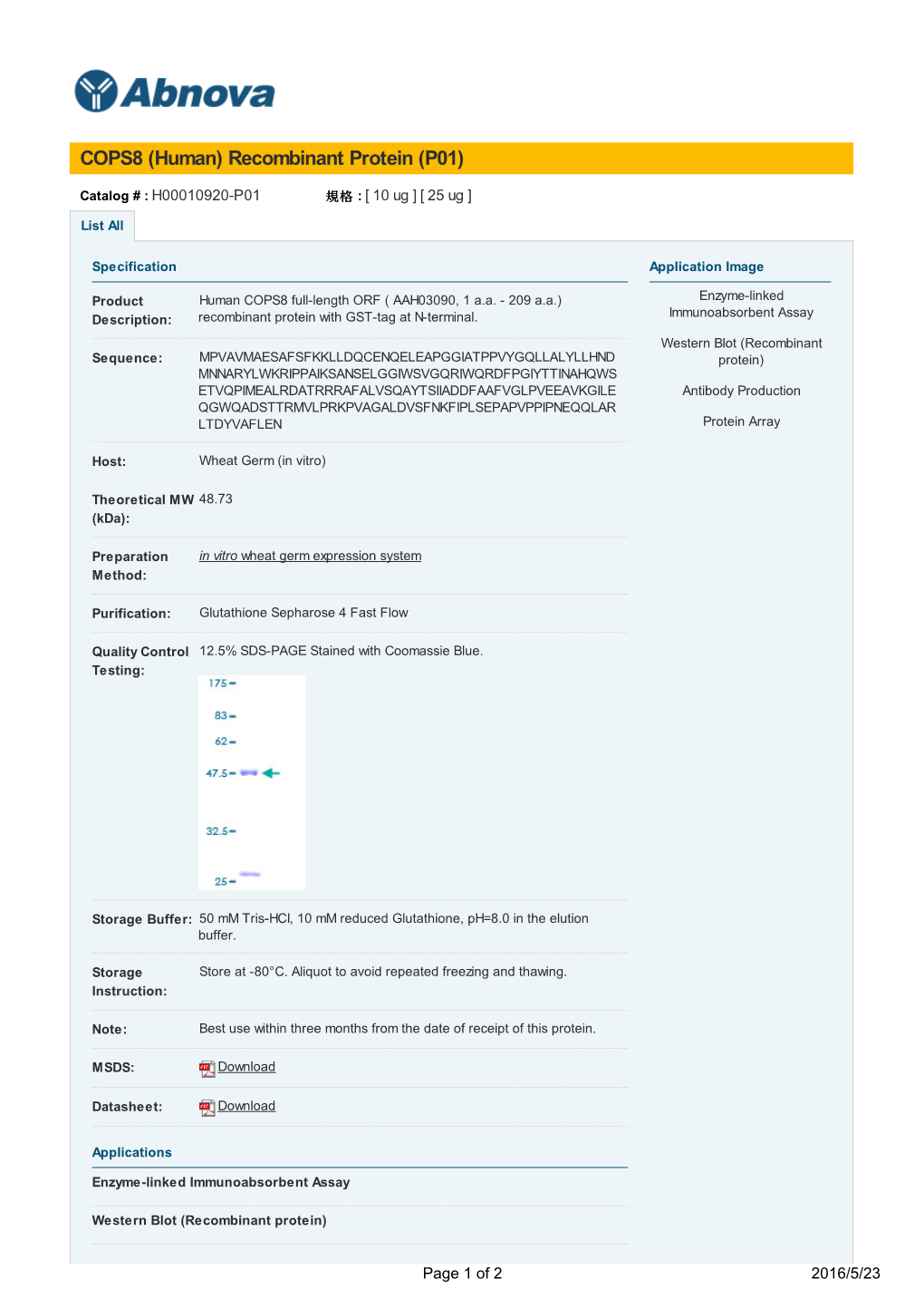 COPS8 (Human) Recombinant Protein (P01)