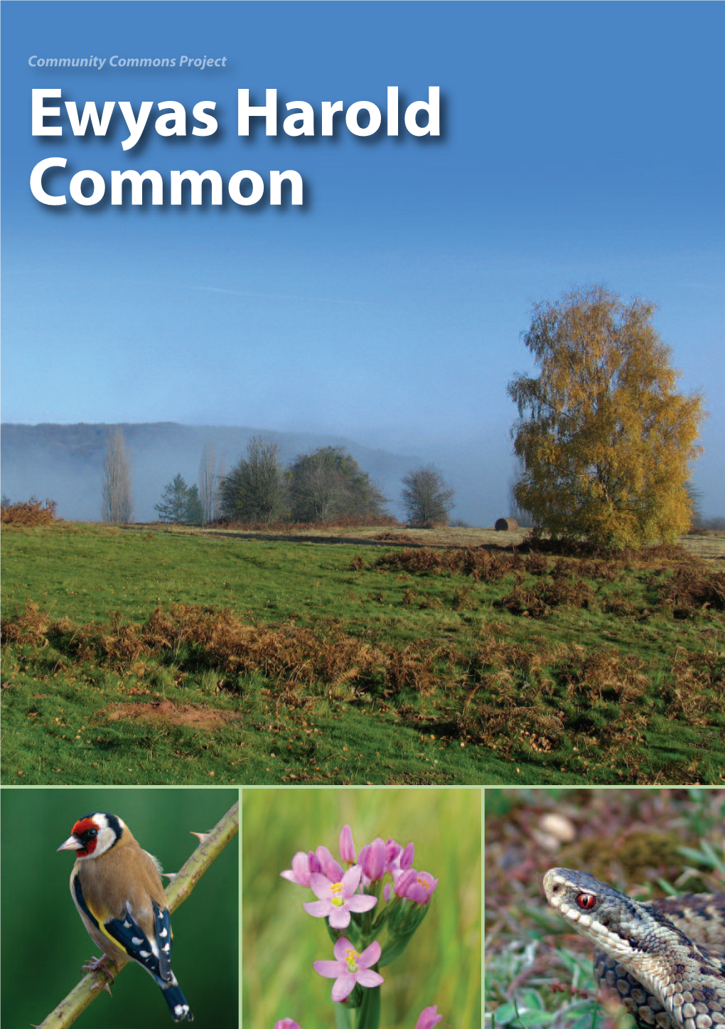 Ewyas Harold Common Booklet LR