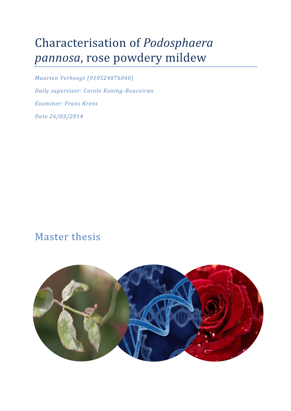 Characterisation of Podosphaera Pannosa, Rose Powdery Mildew