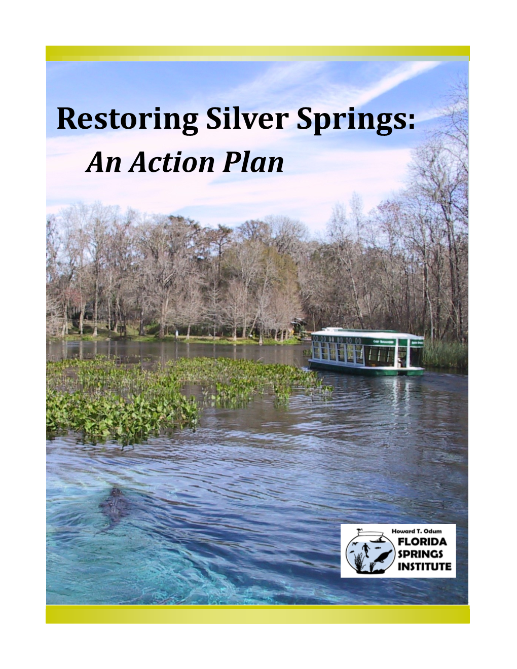 Restoring Silver Springs: an Action Plan