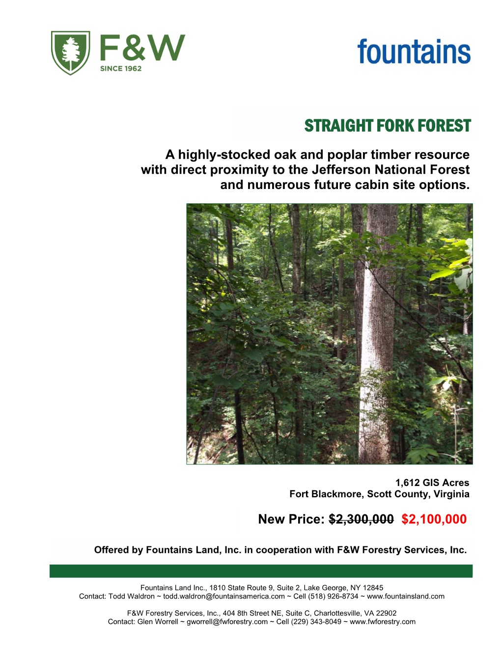 Straight Fork Forest