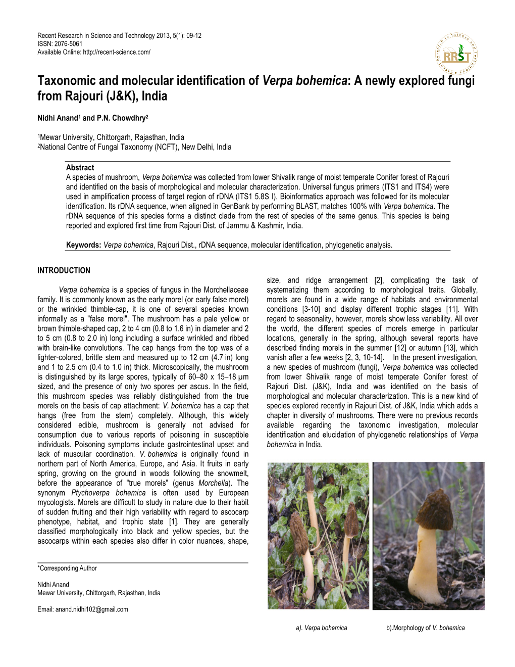 Taxonomic and Molecular Identification of Verpa Bohemica: A