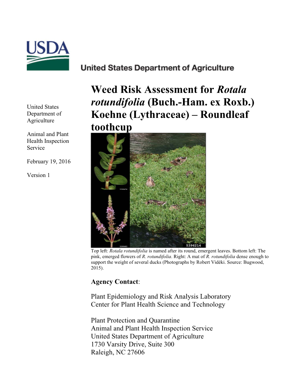 Weed Risk Assessment for Rotala Rotundifolia (Buch.-Ham. Ex Roxb.) Koehne (Lythraceae) – Roundleaf Toothcup