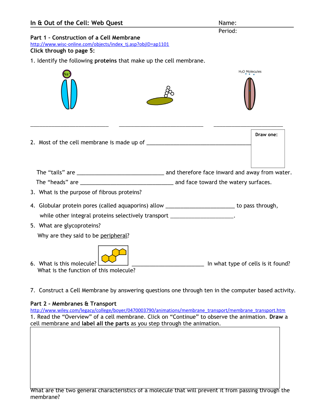 In & out of the Cell: Web Quest