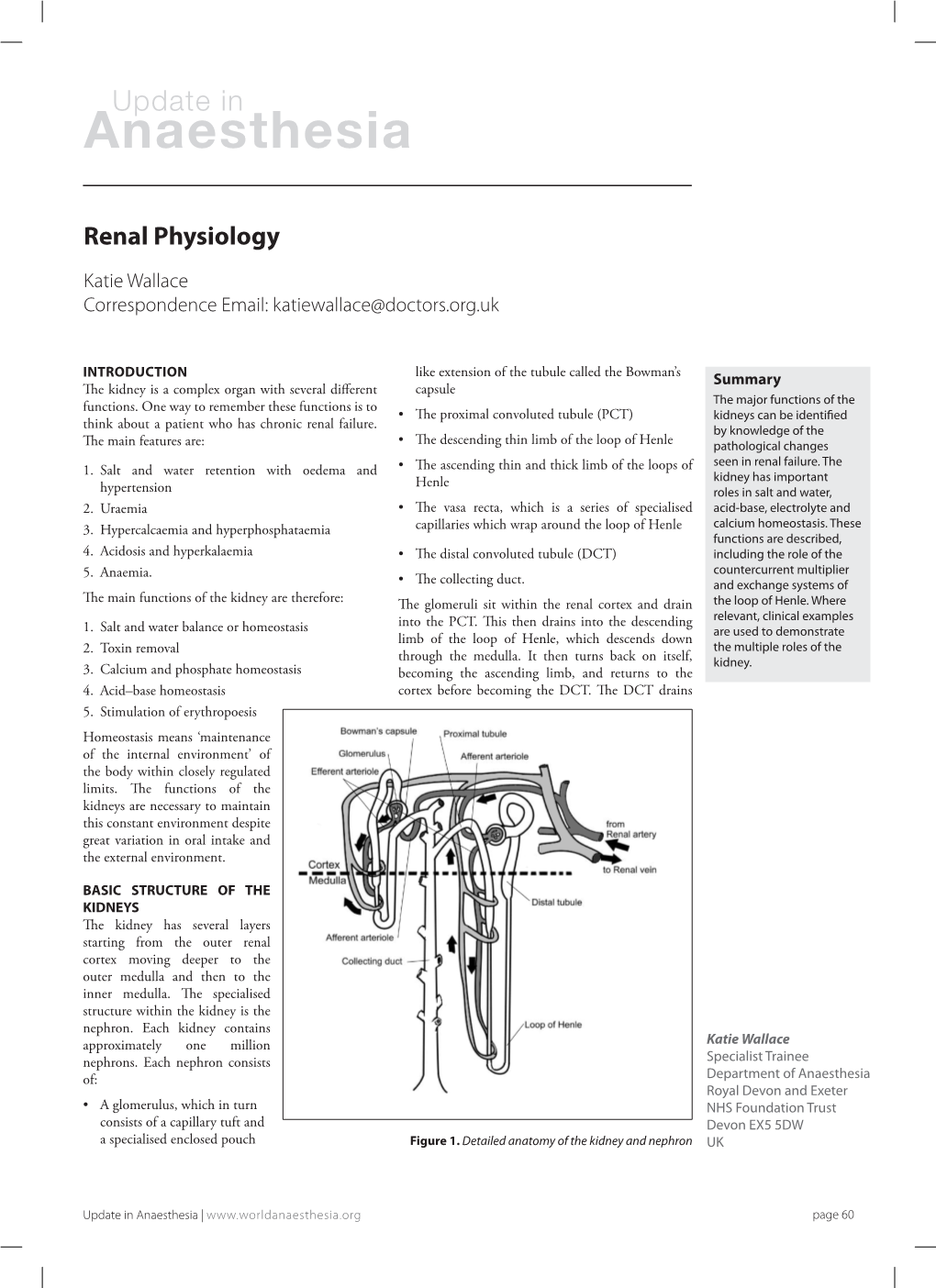 Renal Physiology